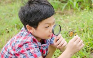 preschool science