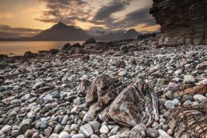 rocky shore